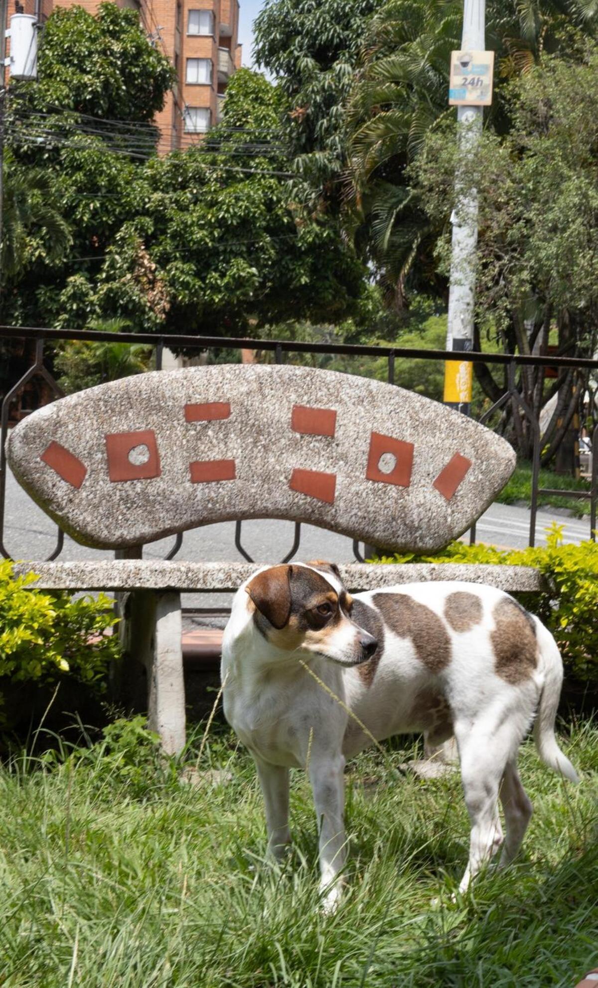 Casa Amplia Y Acogedora En El Corazon De Laureles *